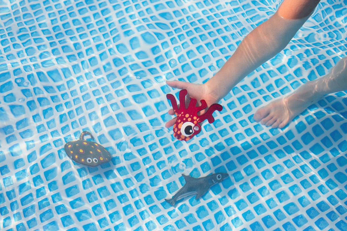 Diving Animals