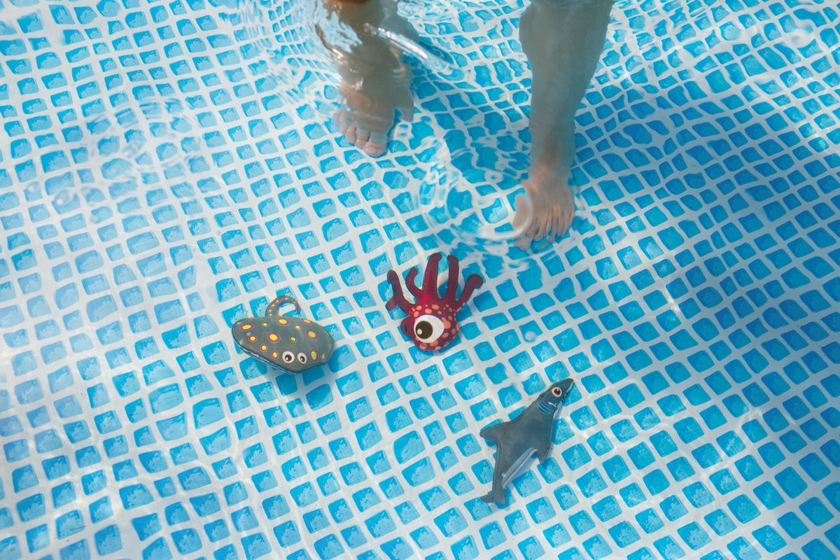 Diving Animals