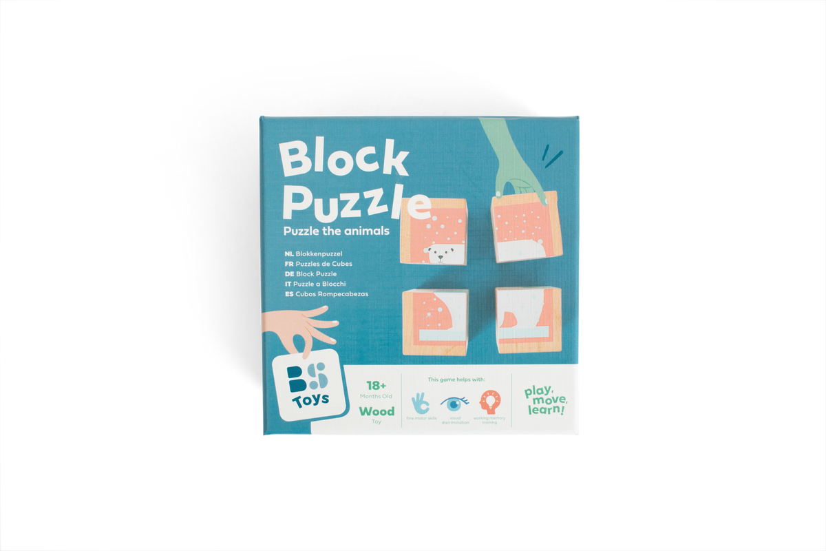 Block Puzzle