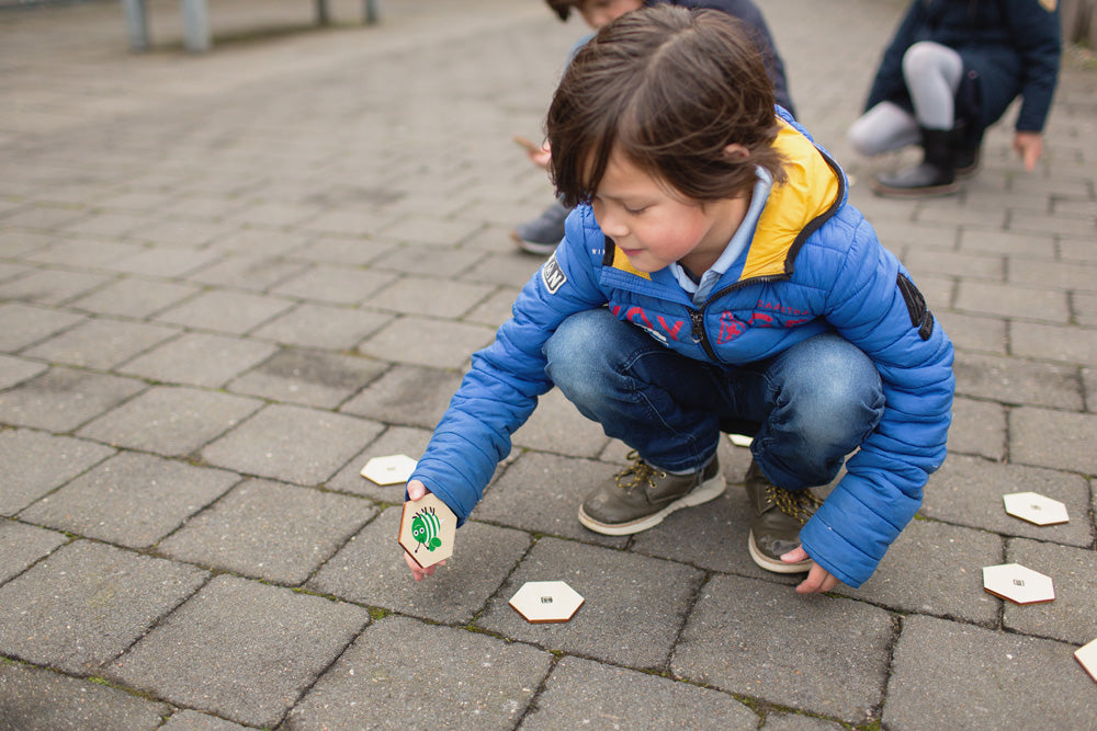 Bugs - Actief zoekspel