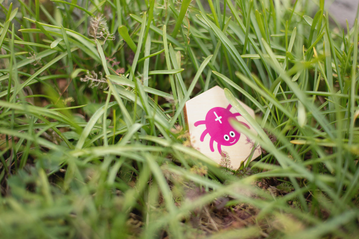 Bugs - Actief zoekspel