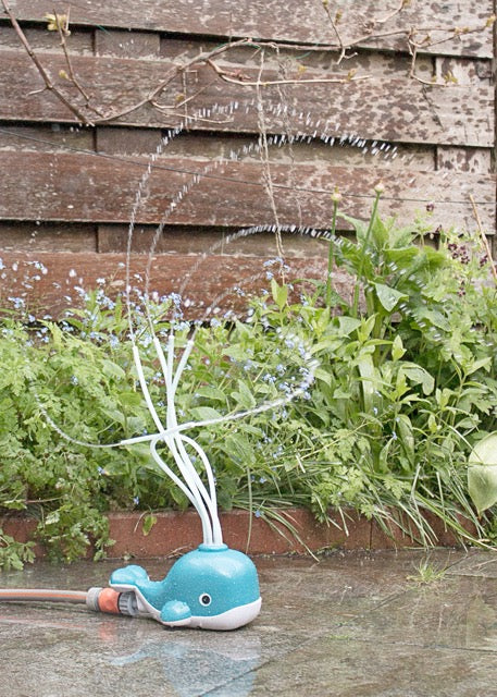 Water Spraying Whale