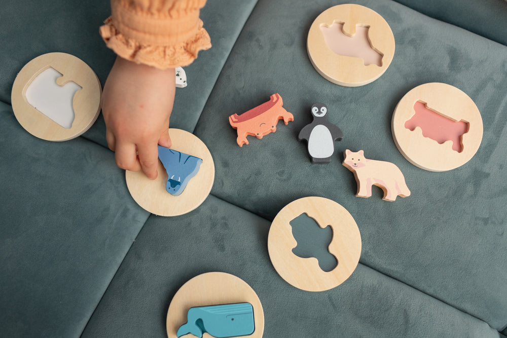 Shape Puzzle
