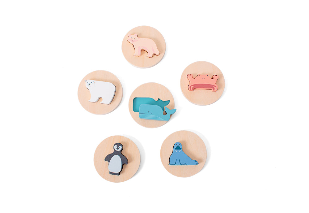 Shape Puzzle