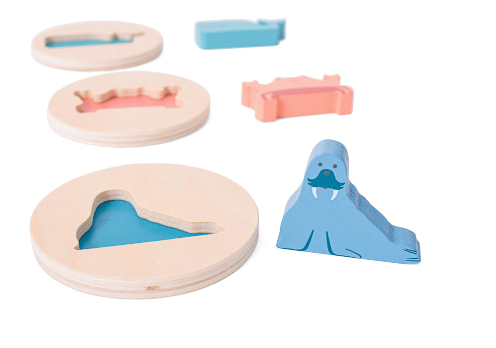 Shape Puzzle