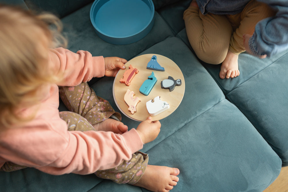 Shape Sorter