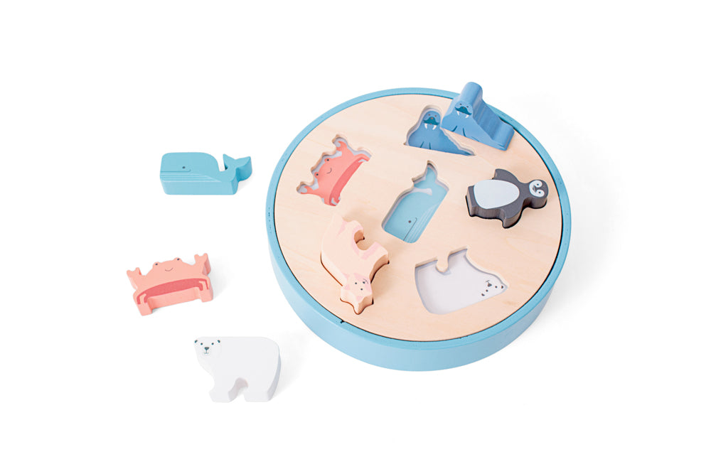 Shape Sorter