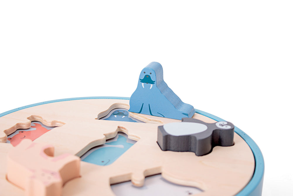 Shape Sorter
