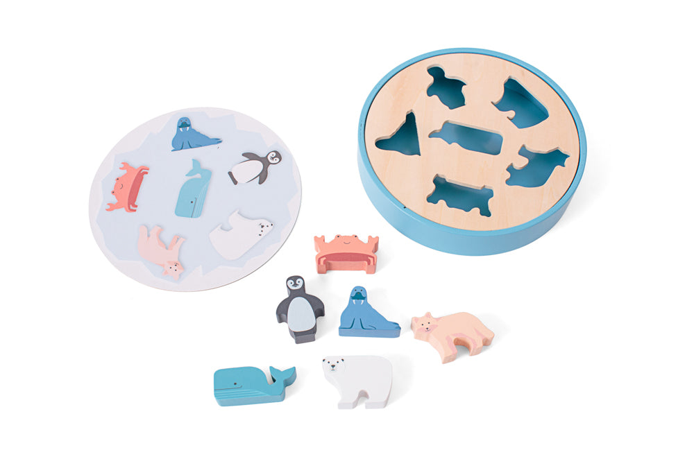 Shape Sorter