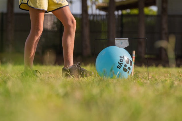 Voetbalcroquet
