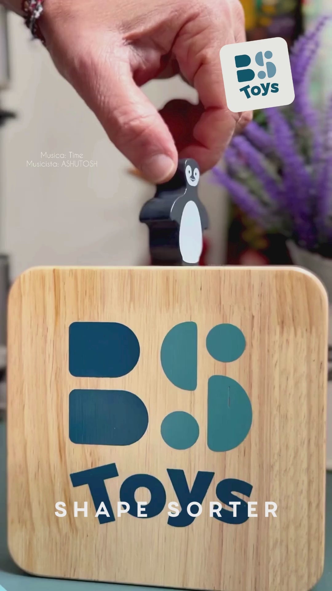 Shape Sorter